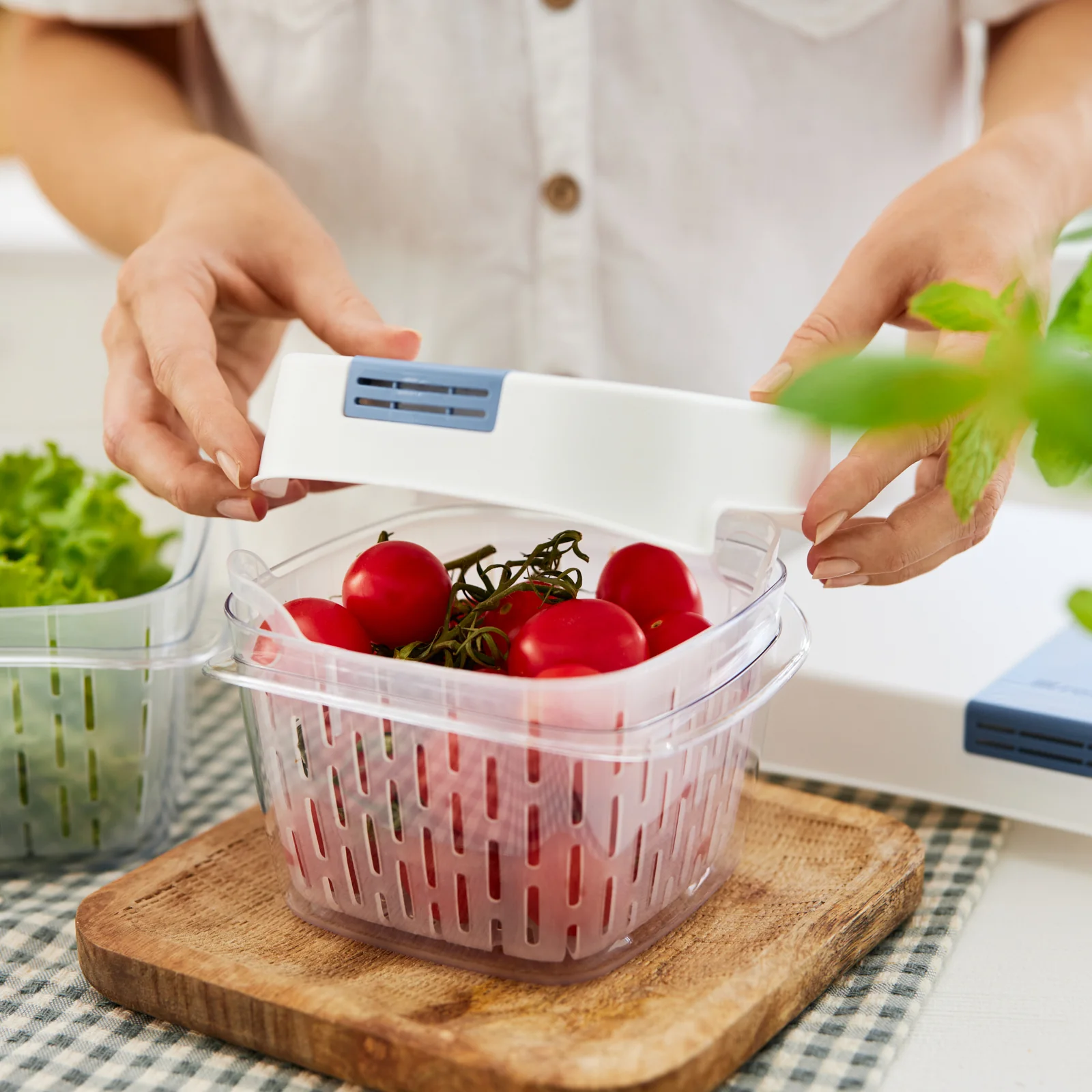 Dynamic Box 1,6 l FRESH - Image 14
