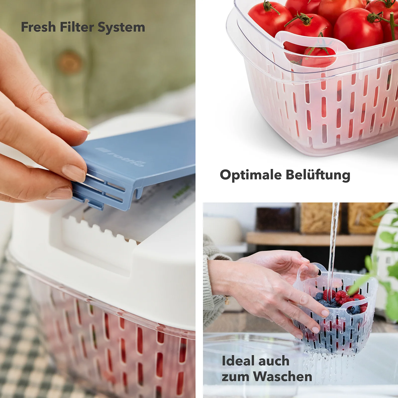 Dynamic Frischeboxen 1,6 L mit 4er-Filter - Image 8