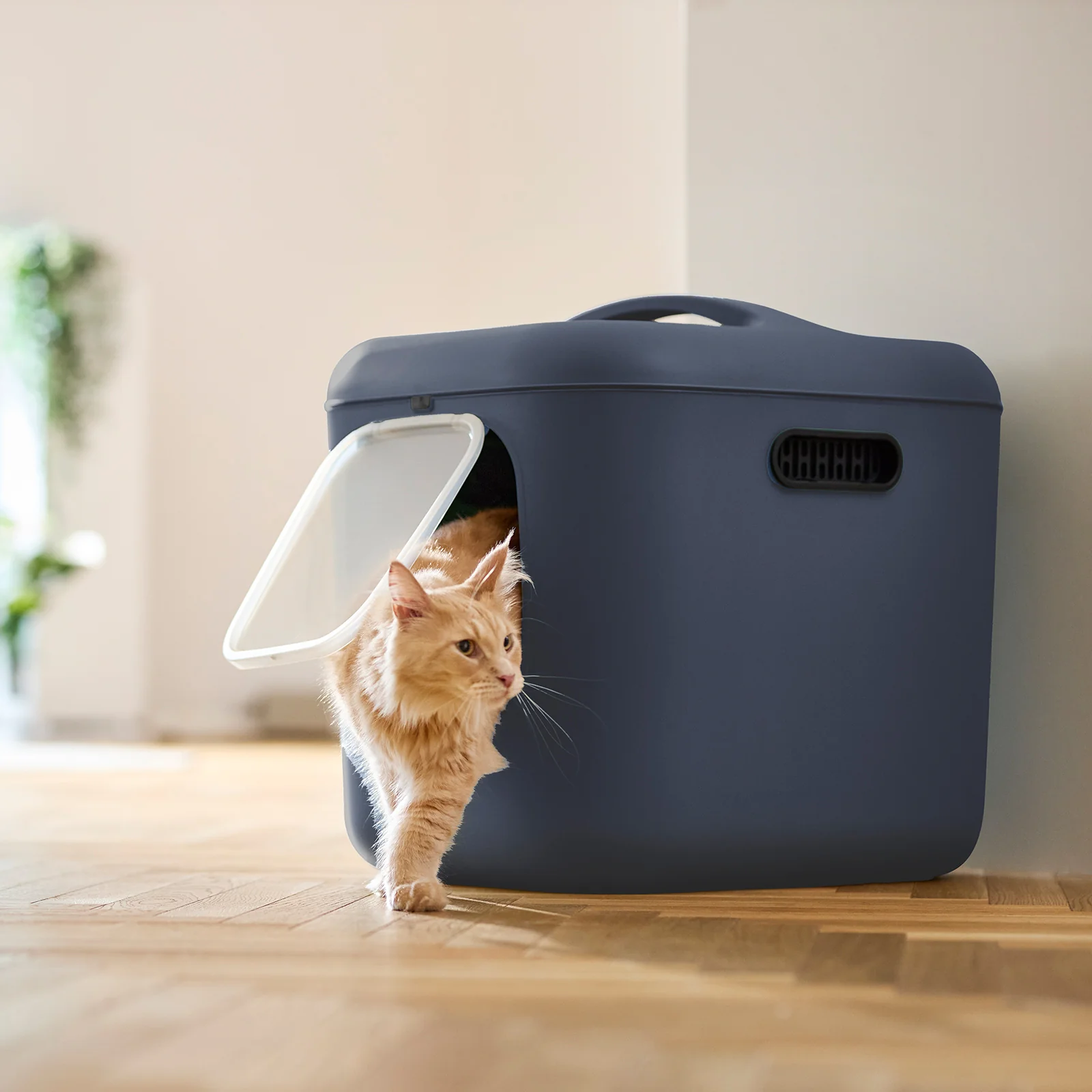 Katzentoilette Bea XL - Image 23