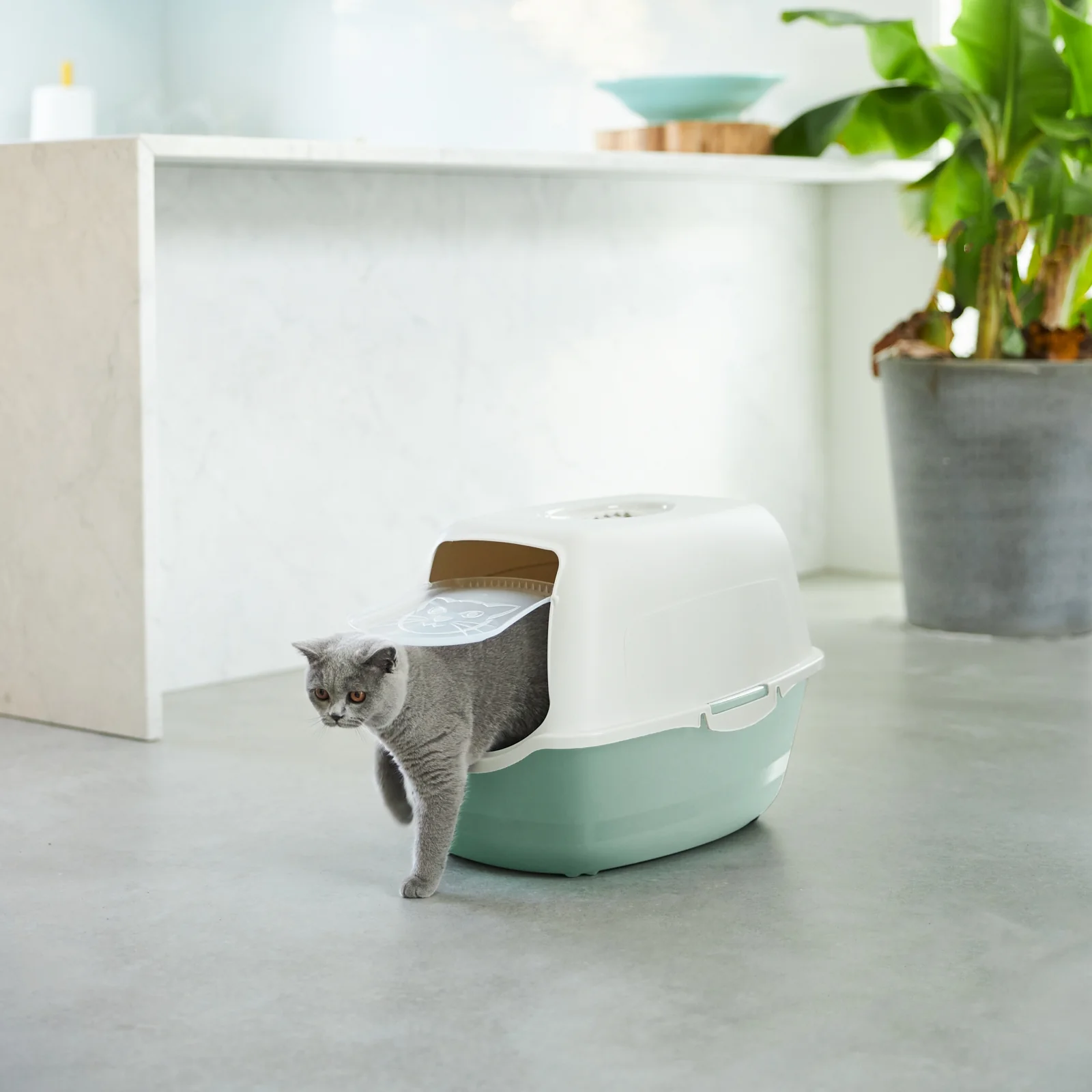 Katzentoilette Eco BAILEY - Image 9