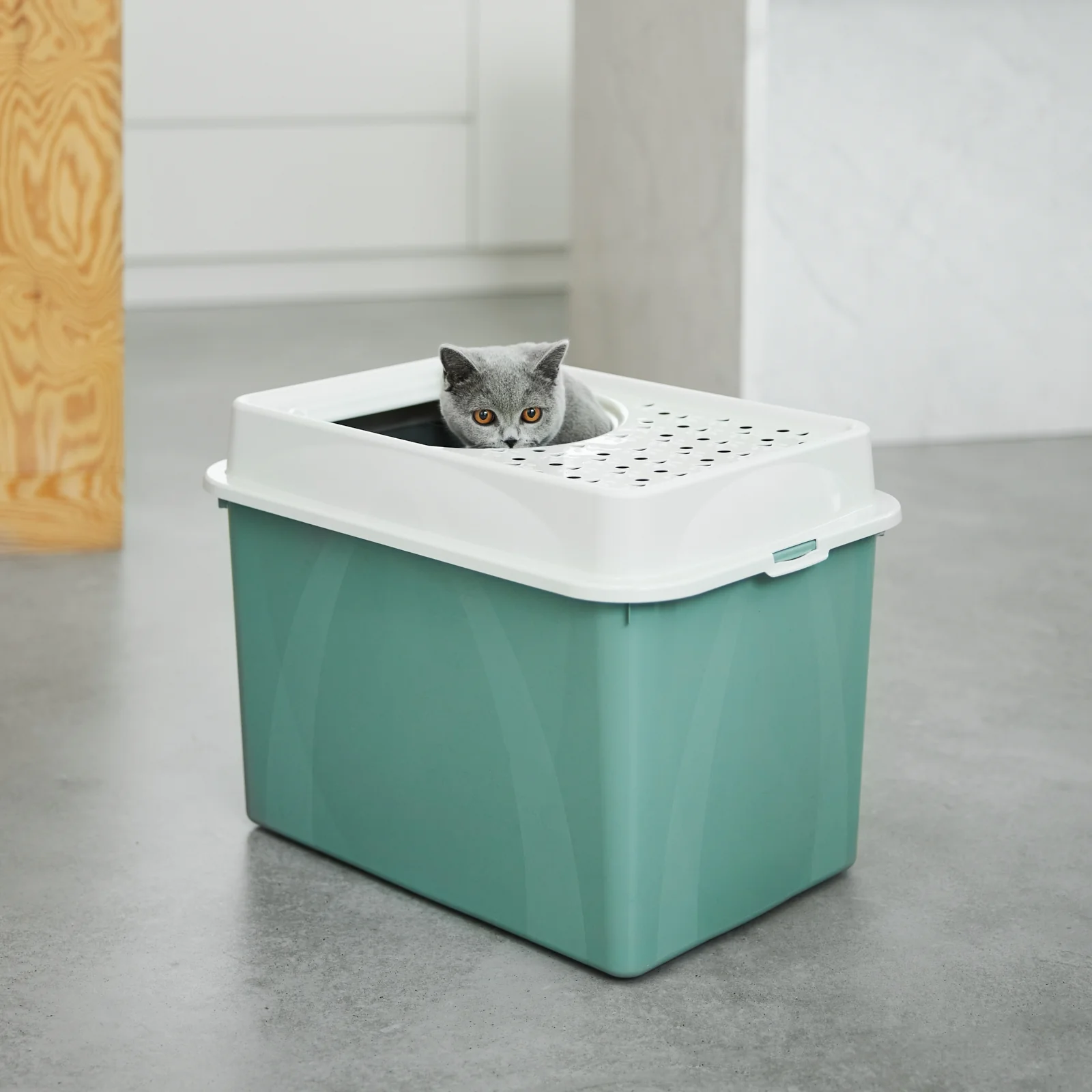 Katzentoilette oben offen Eco BERTY - Image 5