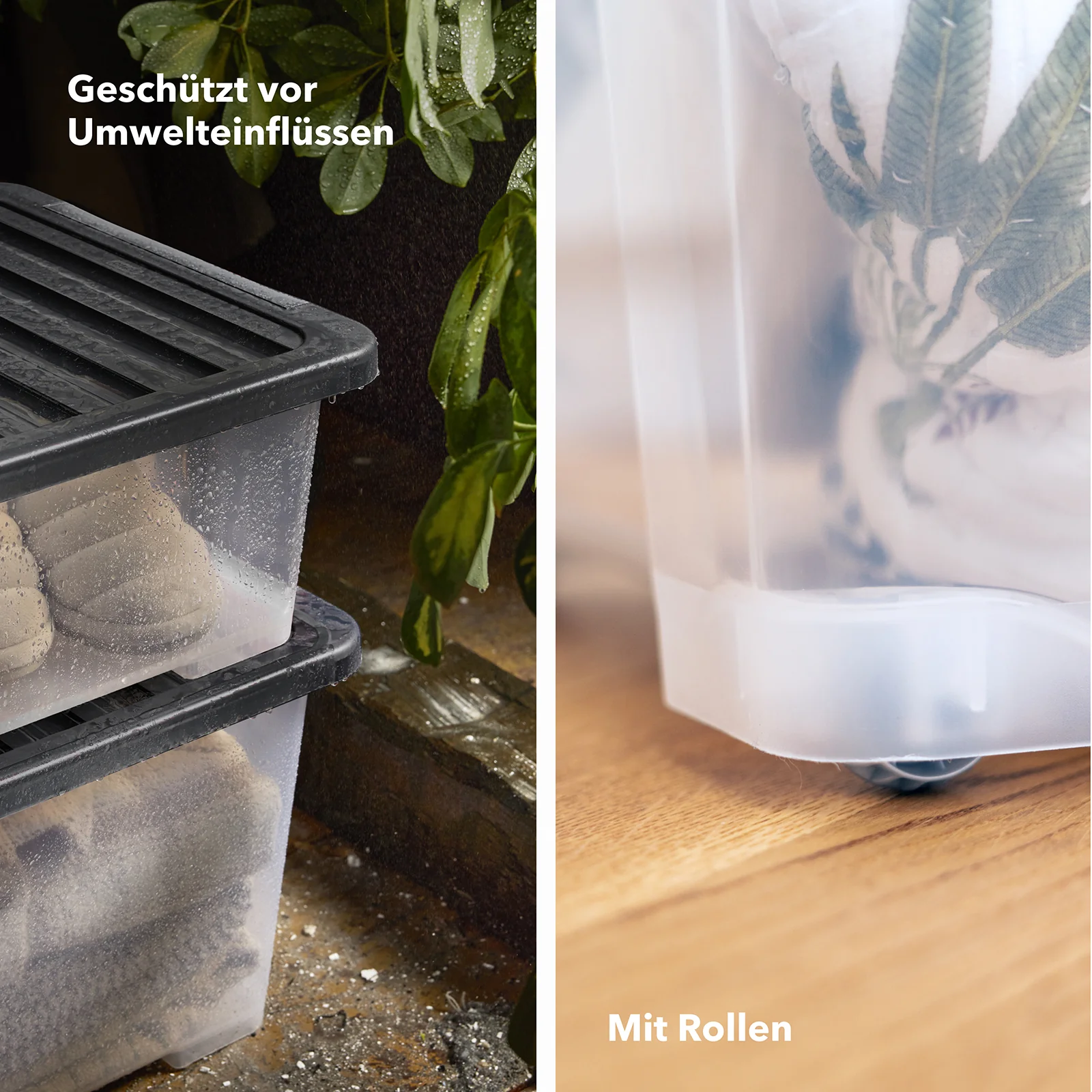 Set Boxen mit Deckel 65 l, 4 tlg. CORE PRO - Image 3
