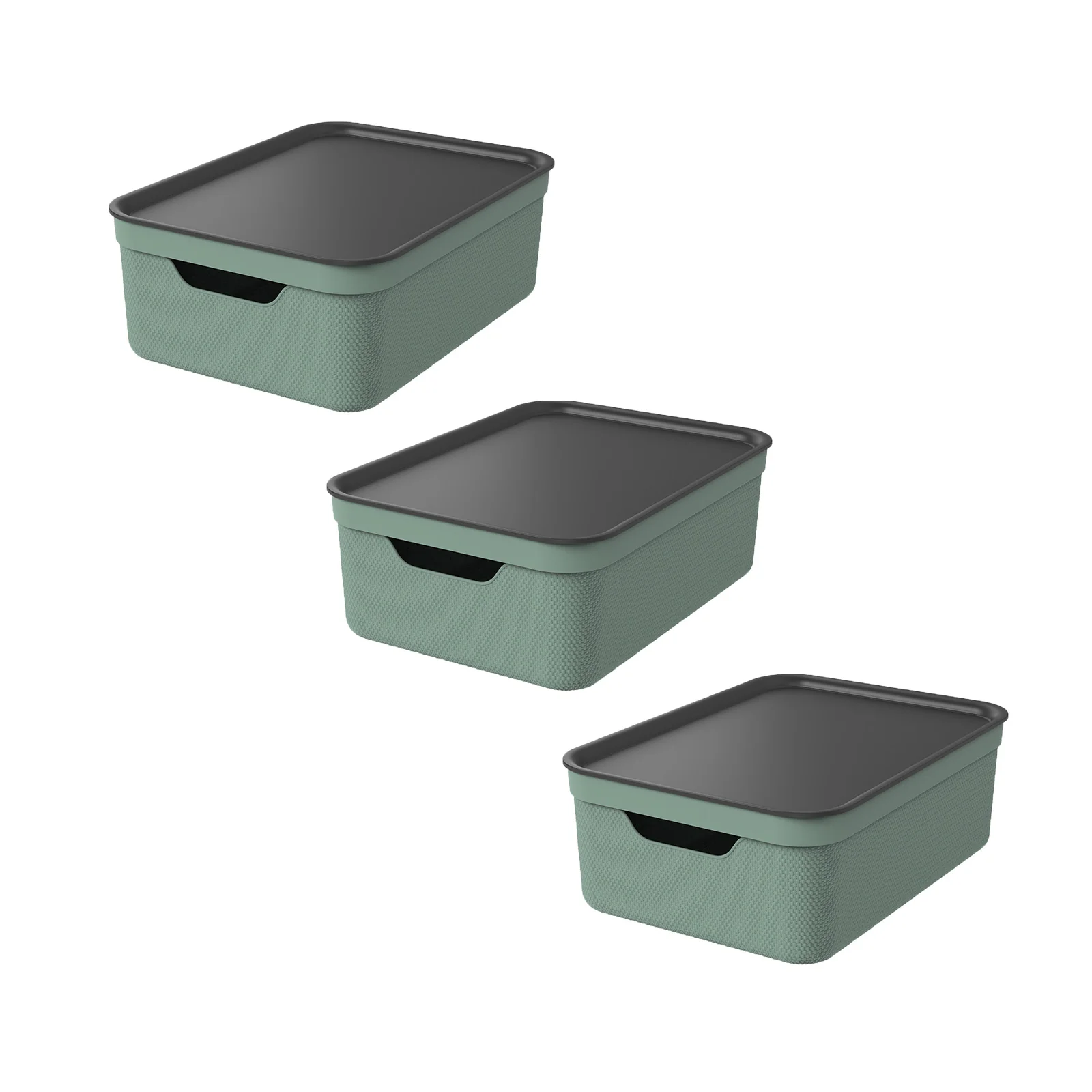 Set Deko Box mit Deckel A4/10 L JIVE - Image 4